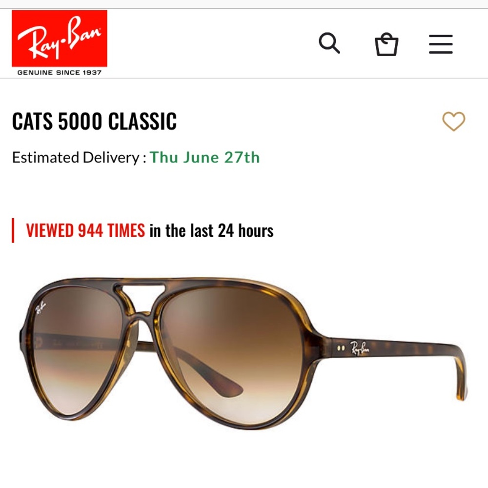 Cat 5000 Ray Ban Sunglasses